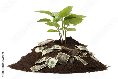 a plant growing in pile of money On Transparent Background