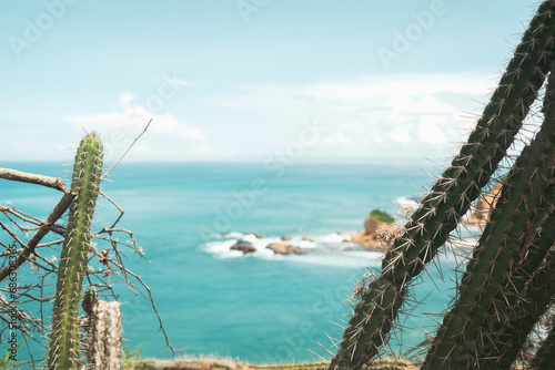 native prickly succulent cactus plants line the overlook high above a backdrop of turquoise blue ocean water along the Pacific coast of this tropical nation island shores
