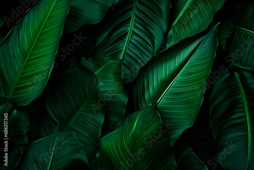 Dense tropical foliage, interplay of light and shadows on green leaves.