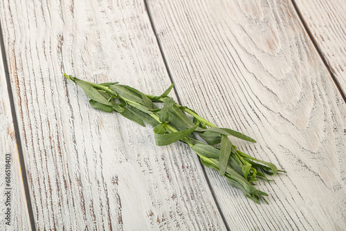 Green tarragon herb spice for cooking