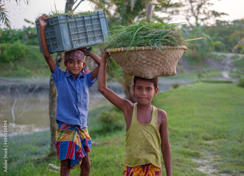 Bangladeshi young rural boys are carrying buckets of grass on their heads, child labour concept 