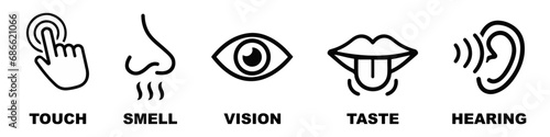 Human sense icons. Five human senses icons. Vision smell hearing touch taste senses fillings. Five fillings icons. Vector Illustration. Vector Graphic. EPS 10