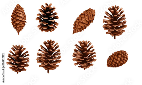 pine cones isolated on transparent background