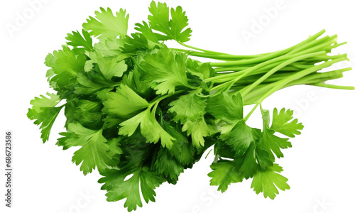 parsley isolated on transparent background
