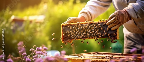  beekeeper inspecting a beehive frame filled with honey and bees in a tranquil garden during spring, with the focus on the frame and the blurred garden 