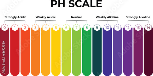 PH Scale Science Design Vector Illustration