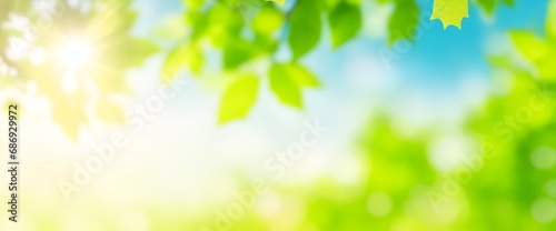 Blurred bokeh portrait background of fresh green spring, summer foliage of tree leaves with blue sky and sun flare. Illustration.