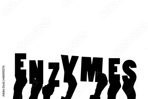 Digital png illustration of hands with enzymes text on transparent background