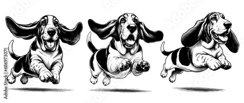 Set of happy Basset Hound jumping. Hand Drawn Pen and Ink. Vector Isolated in White. Engraving vintage style illustration for print, tattoo, t-shirt, coloring book
