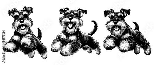 Set of happy schnauzer dogs jumping. Hand Drawn Pen and Ink. Vector Isolated in White. Engraving vintage style illustration for print, tattoo, t-shirt, sticker