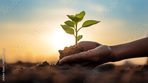 Hands with a ground and green sprout of a new plant, blue sky background. Concept of a new life and growing