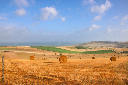 Paysage de la côte d'Opale à Escalles dans le Nord Pas de Calais au Cap Blanc Nez en été