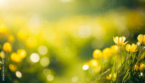 beautiful nature blurred yellow summer background