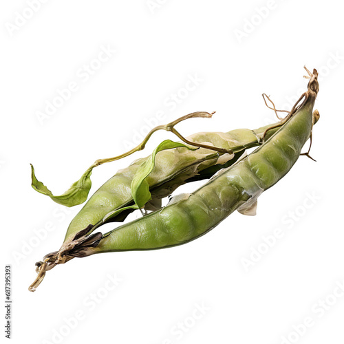 front view of a spoil rotten snow pea vegetable isolated on a white transparent background 