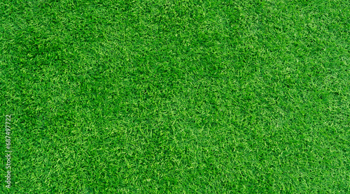 Green grass texture background, green lawn 