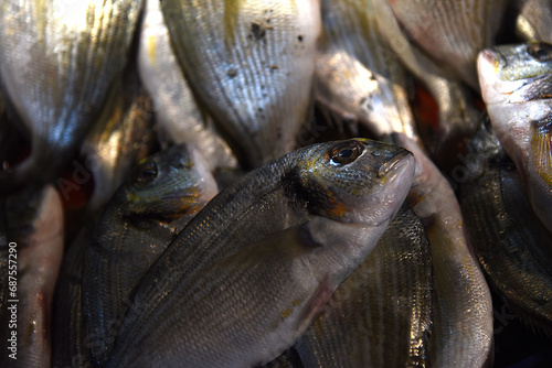 frischer Fisch auf Fischmarkt in Izmir