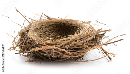 Bird's nest isolated on white background, cutout