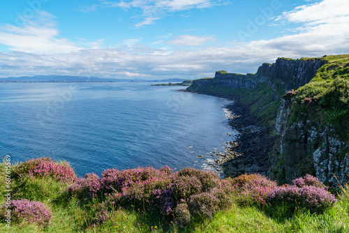 A dramatic view across the cliffs and ocean on the Isle of Skye, with blooming heather in the foreground