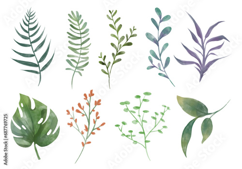 Botanical vector watercolor illustrations. Leaf and flower clipart. Set of green leaves, herbs, branches and Floral Design elements for wedding invitations, greeting cards, blogs and posters.