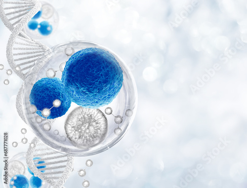 growth factor and stem cells