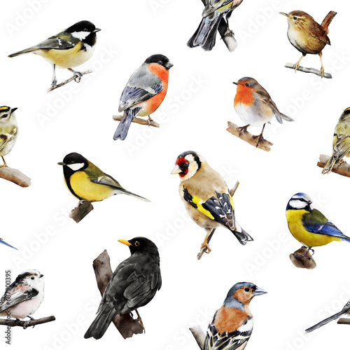 Watercolor birds seamless pattern. Hand-drawn backdrop for fabric, clothing, wrapping paper, decor. Bullfinch, blue tit, great tit, coal tit, robin, blackbird, goldfinch, wren. Repeated pattern