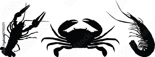 Crustaceans. Collection of sea animals. Crayfish, crabs, shrimp. Illustration on a transparent background. Silhouette