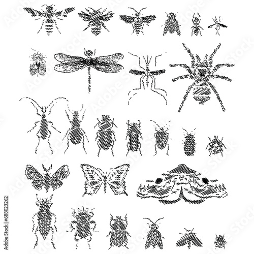 Set of various small insects