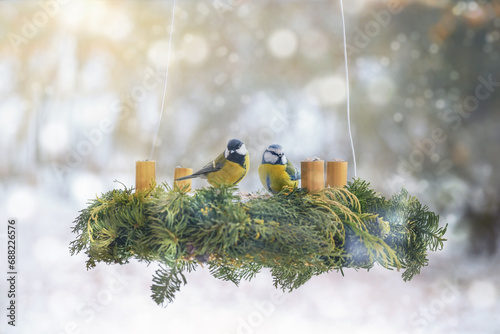 Two tits sitting on an advent wreath hanging in the garden and filled with birdseed as an alternative bird feeder in winter, creative Christmas decoration with benefit, copy space