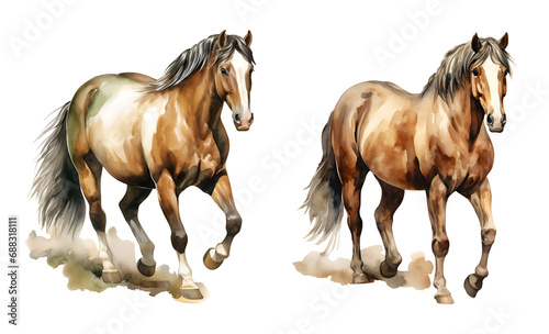Western horse, watercolor clipart illustration with isolated background