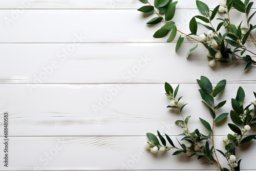 space copy view top lay Flat board white eucalyptus background Minimal rustic wooden leaves branches wood texture wall plank table fresh