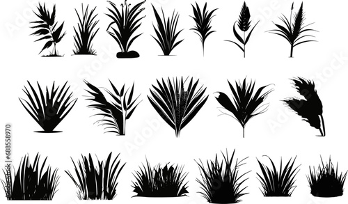 Herbes vectoriel silhouette brush