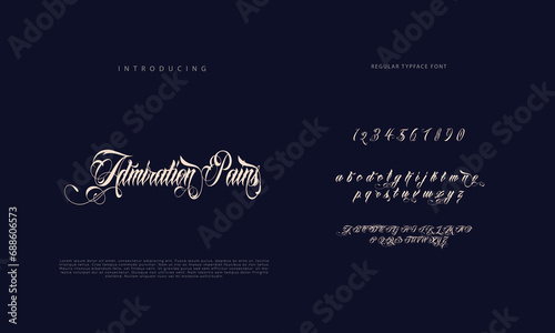 Signature font calligraphy logotype script brush font type font lettering handwritten