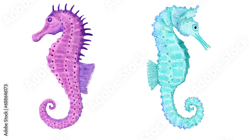 Blue and purple seahorse in watercolor. Transparent background. Resource in png.