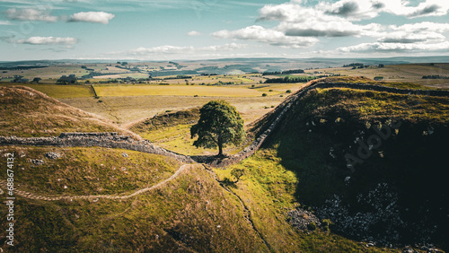 A tree in Sycamore Gap. Location where Robin Hood: Prince of Thieves was filmed in 1991 with actors like Kevin Costner, Morgan Freeman, Alan Rickman etc.