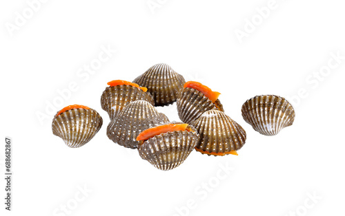 fresh cockles seafood on transparent png