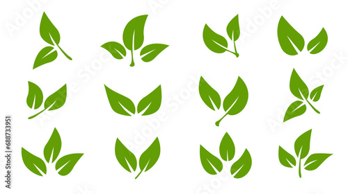 Set of green leaf icons. Leaves of trees and plants. Leaves on white background. Ecology. Vector illustration.