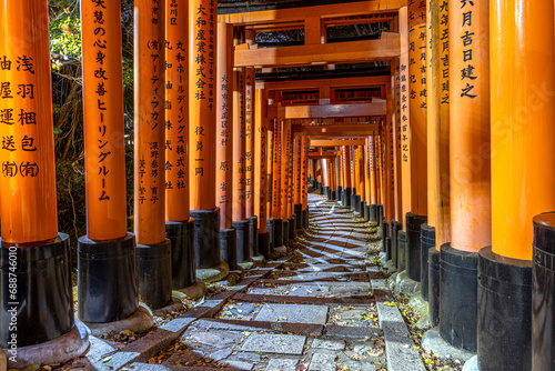 path under the torii in the fushimi inari temple