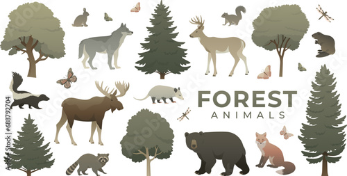 Animals and trees set. Colored flat vector illustration of forest wildlife. Biodiversity of flora and fauna collection isolated. Bear, raccoon, wolf, moose, deer, fox, beaver, skunk, opossum.