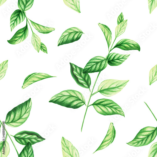 Watercolor seamless pattern of fresh peppermint leaves isolated on background. Detail of beauty products and botany set, cosmetology and medicine. For designers, spa decoration, p