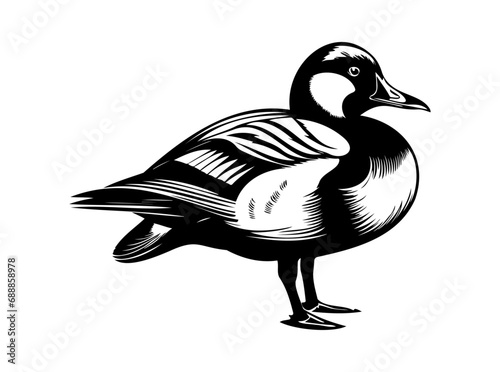 Duck bird standing an resting, black vector design against white background