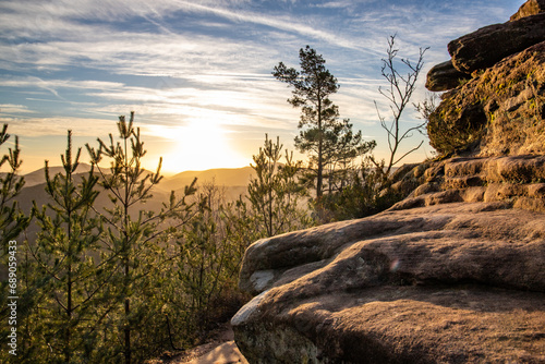 Landscape shot on a sandstone rock in the forest. Morning mood at sunrise at a viewpoint. A small tree and a summit cross stand on the Rötzenfels in the Palatinate Forest, Germany
