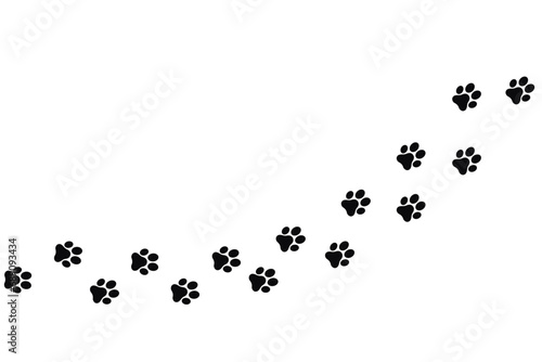 Foot trail print of Dog. Dog walk foot print. Black cat Paw Prints. Black Paw print foot trail of animal on transparent background. Paw print of Cat isolated on transparent background