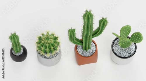 Realistic 3D Render of Cactuses Set