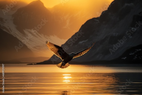 Sea bird flying over the silhouetted mountains with the golden light of sunrise shining on the Western Fjords of Kalaallit Nunaat; West Greenland, Greenland