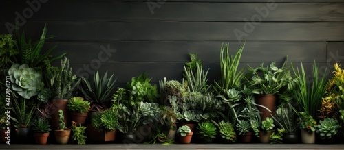 Contemporary home gardens feature diverse plant life in attractive pots with stylish interior design and green wall panels Copy space image Place for adding text or design