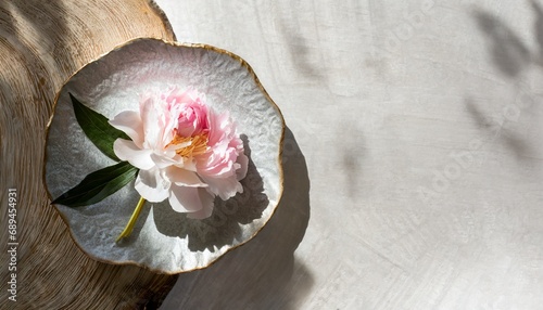 美しい和食器 椿の花
