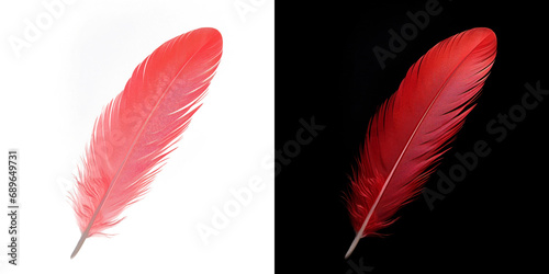 Realistic translucent red feather isolated on transparent background
