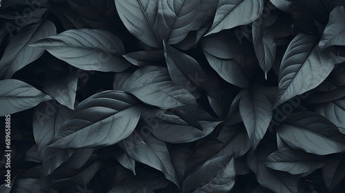 A captivating photo showcasing a background of lush leaves, embodying aesthetic minimalism. The wallpaper features a palette of dark sage colors, offering a serene and sophisticated vibe.