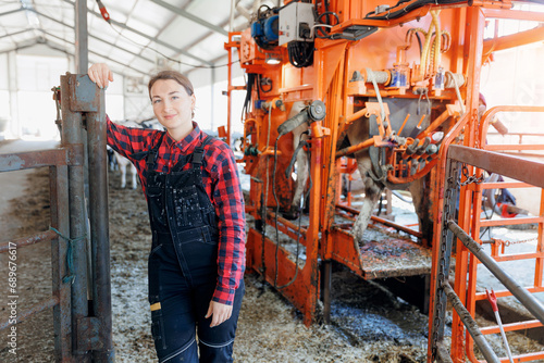 Portrait woman farmer master Pedicure of hooves cattle on background hydraulic device for holding cow during hoof trimming