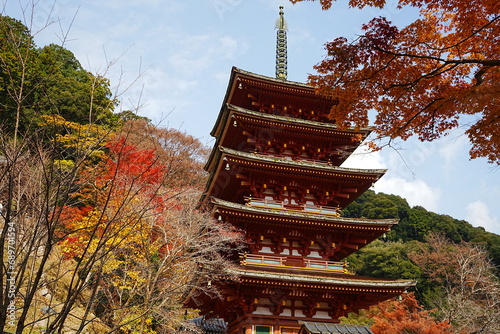 Hasedera Temple and Beautiful Autumn Japanese Garden in Nara, Japan - 日本 奈良 長谷寺 五重塔 秋の景色